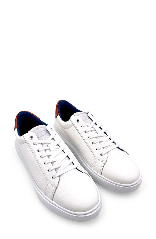 Shop G Brown Puff Sneaker In White/red