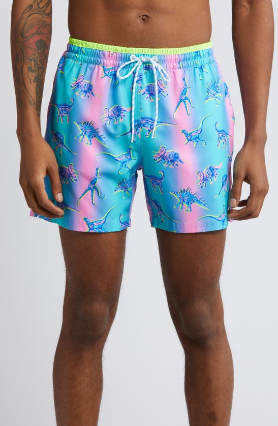 Chubbies Magic Swim Trunks In The Dino Delights