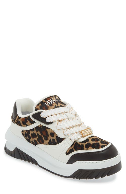 Shop Versace Odissea Genuine Calf Hair Sneaker In Ebano Ivory Gold