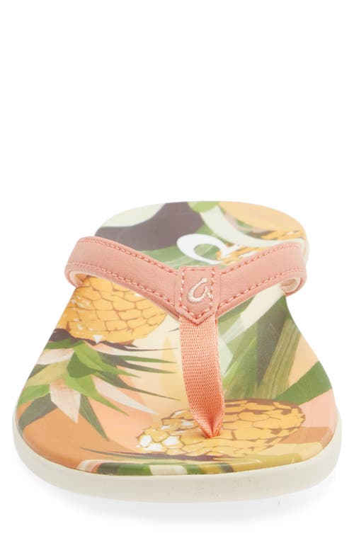 Shop Olukai Ho'opio Hau Flip Flop In Shell Coral/pineapple