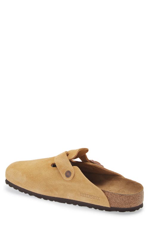 Shop Birkenstock Boston Clog In Latte Cream Suede