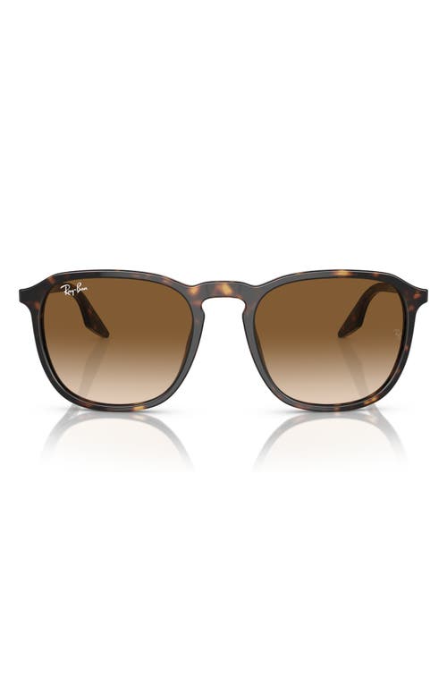 Ray-Ban 52mm Square Sunglasses in Havana at Nordstrom