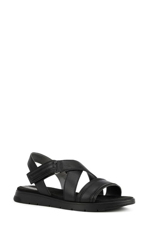 Dandra Strappy Sandal in Black