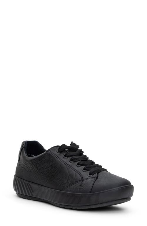 Alexandria Suede Sneaker in Black