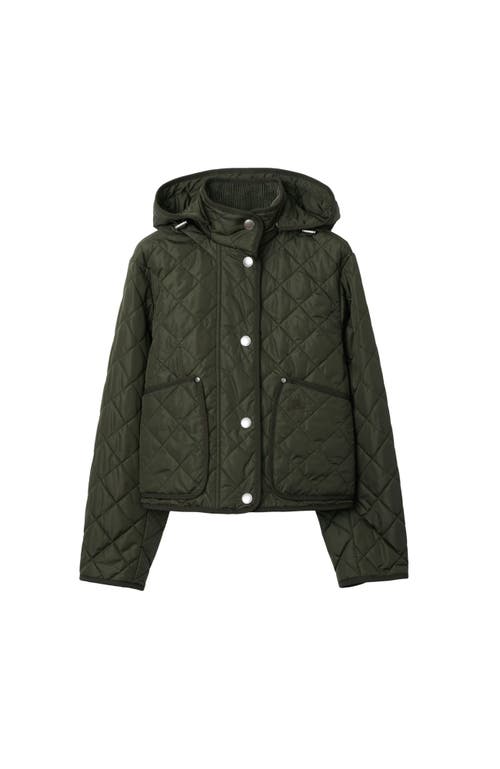 Burberry Cropped Quilted Nylon Hooded Jacket In Loch