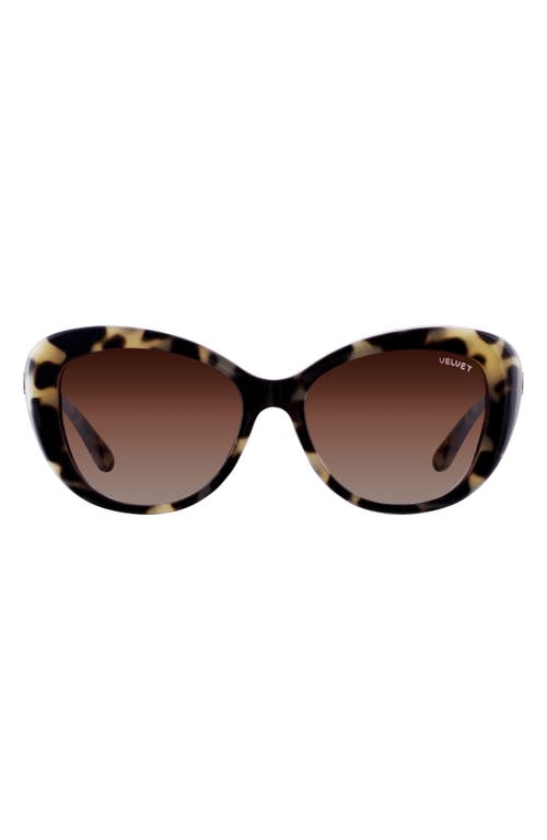 Velvet Eyewear Chrystie 55mm Cat Eye Sunglasses in Grey Tortoise at Nordstrom