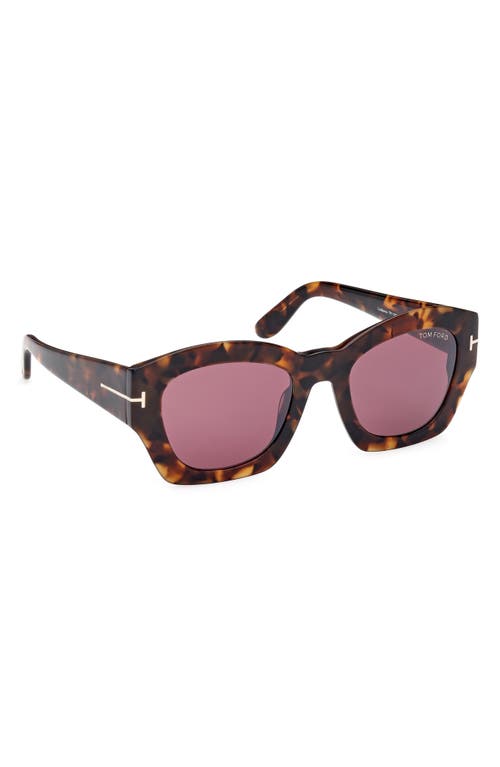 Tom Ford Guilliana 52mm Geometric Sunglasses In Shiny Dark Havana/bordeaux