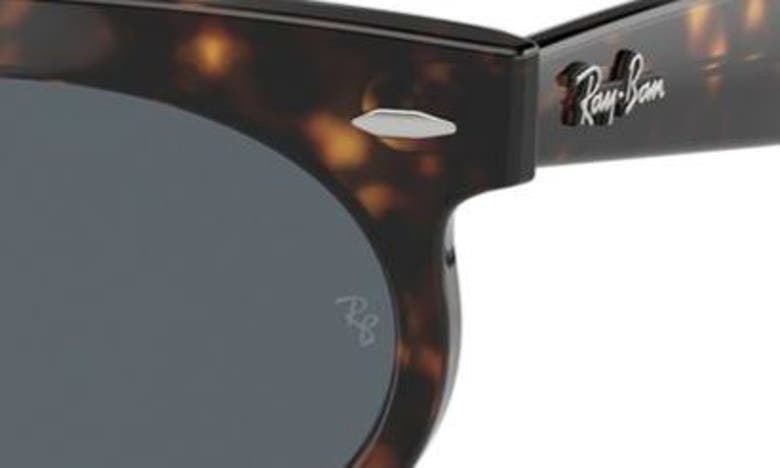 Shop Ray Ban Ray-ban Wayfarer 53mm Oval Sunglasses In Havana