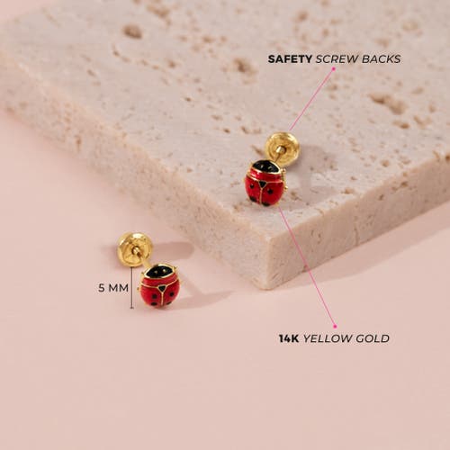 In Season Jewelry 14k Colorful Ladybug Earrings In Red