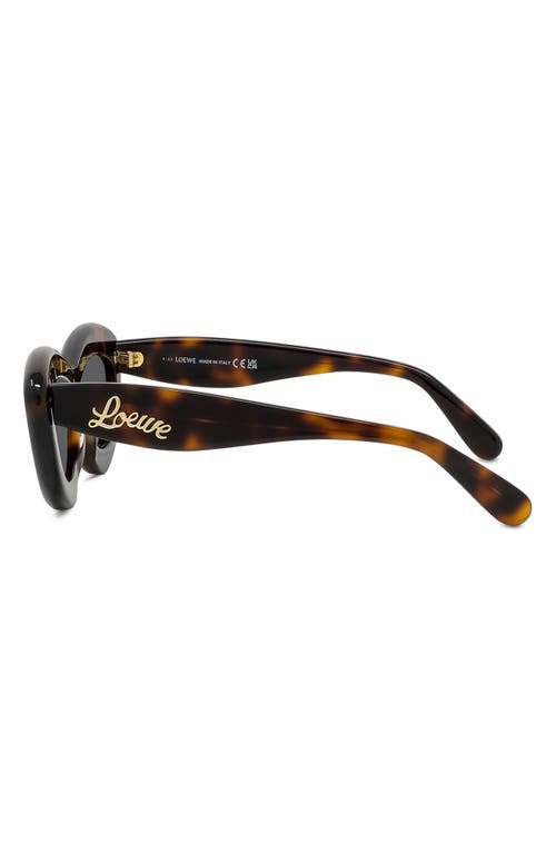 Shop Loewe Curvy 54mm Cat Eye Sunglasses In Dark Havana/smoke