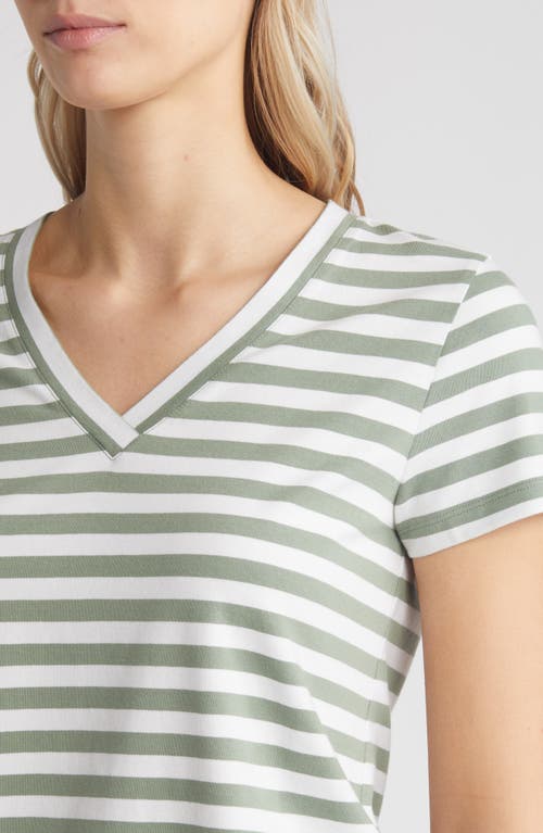 Shop Caslonr Caslon(r) Stretch Cotton Blend V-neck T-shirt In Green Dune- White Charm Stripe