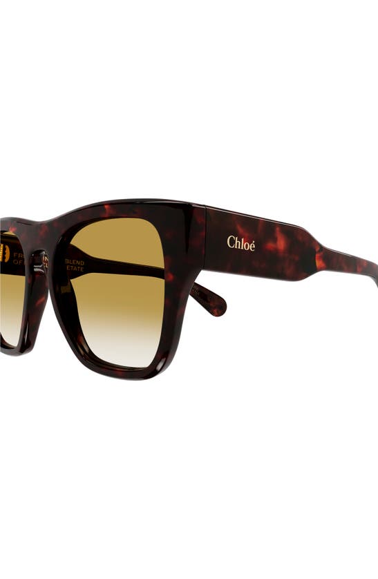 Shop Chloé 55mm Square Sunglasses In Havana