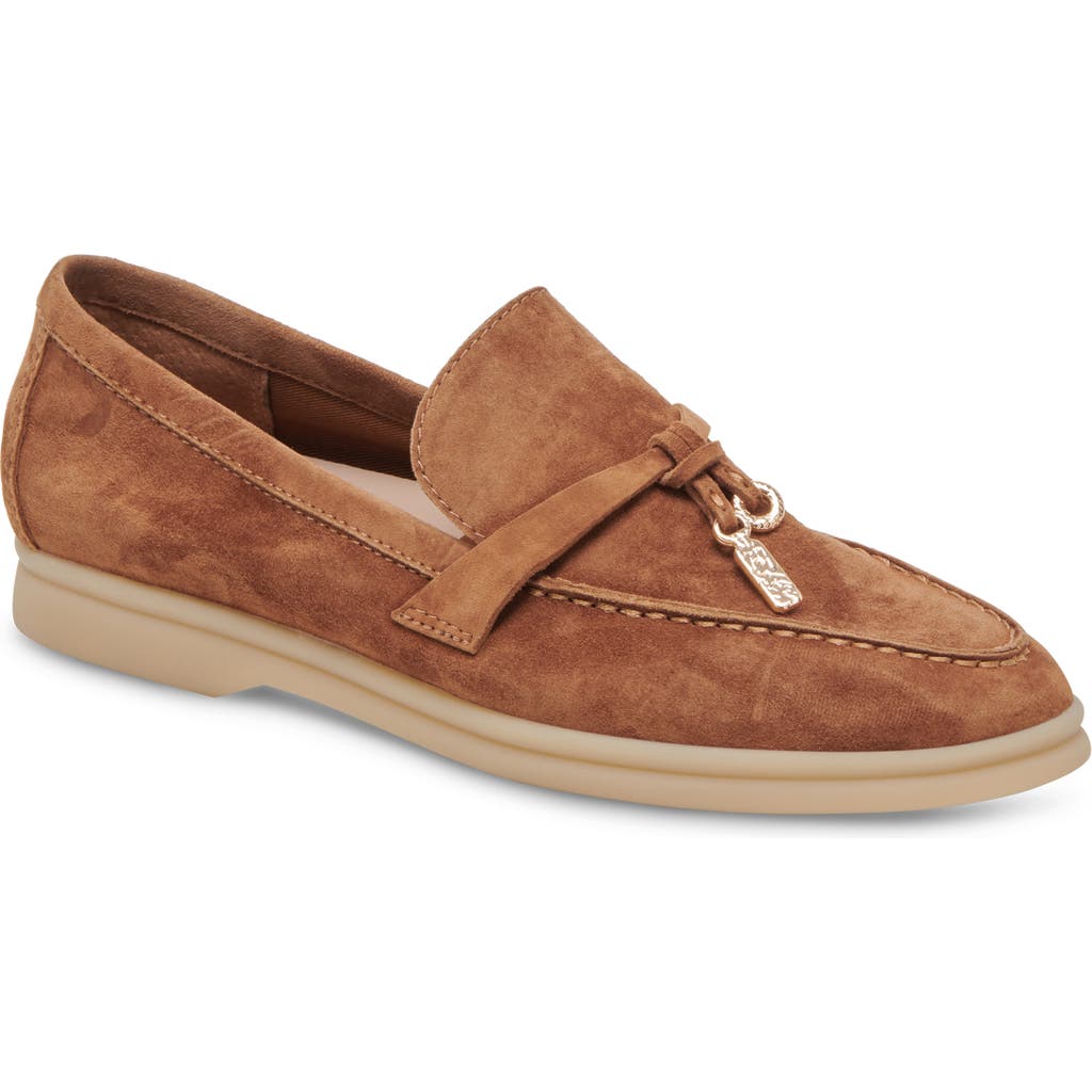 Dolce Vita Lonzo Loafer In Brown Suede