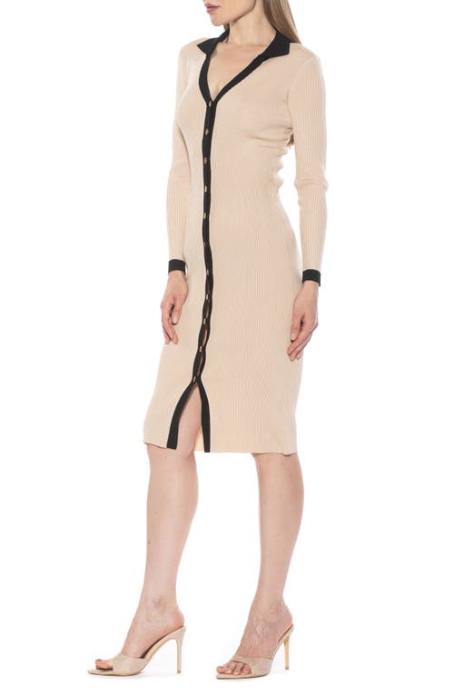 Alexia Admor Cordelia Dress In Ivory