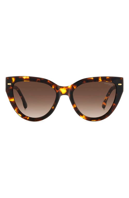 Carrera Eyewear 55mm Gradient Cat Eye Sunglasses In Havana/brown Gradient