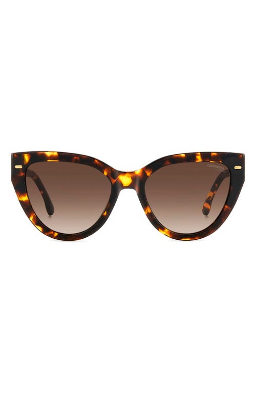 Carrera Eyewear 55mm Gradient Cat Eye Sunglasses in Havana/Brown Gradient at Nordstrom