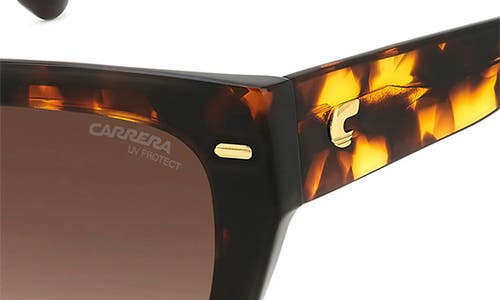 Carrera Eyewear 55mm Gradient Cat Eye Sunglasses In Havana/brown Gradient