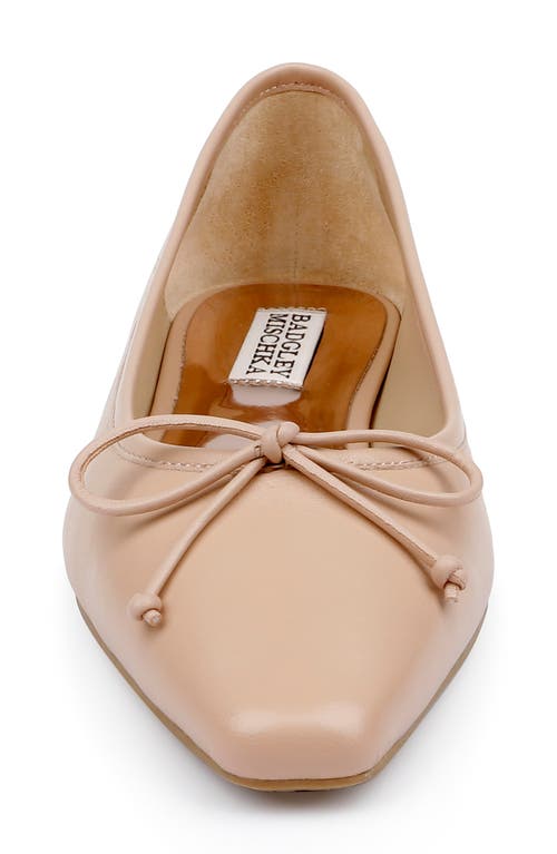 BADGLEY MISCHKA BADGLEY MISCHKA COLLECTION CAM POINTED TOE BALLET FLAT 