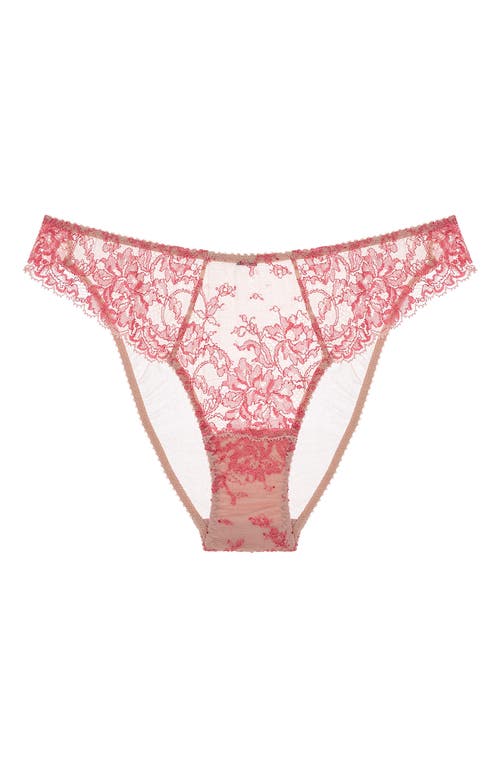 Journelle Chloe Mesh & Lace French Cut Panties In Sorbet