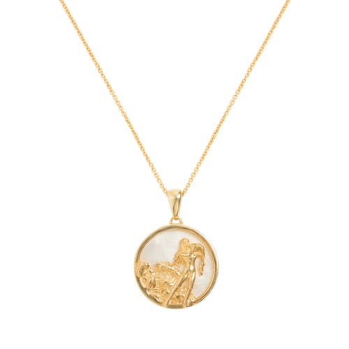 Freya Rose Zodiac Necklace In Aquarius