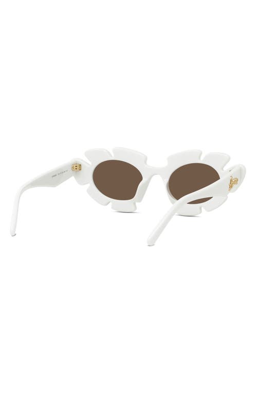 Shop Loewe X Paula's Ibiza Flower 47mm Small Cat Eye Sunglasses In White/brown