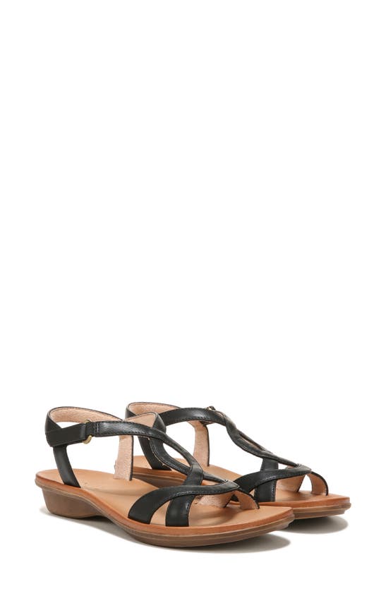 Natural Soul Solo Ankle Strap Sandal In Black Synthetic