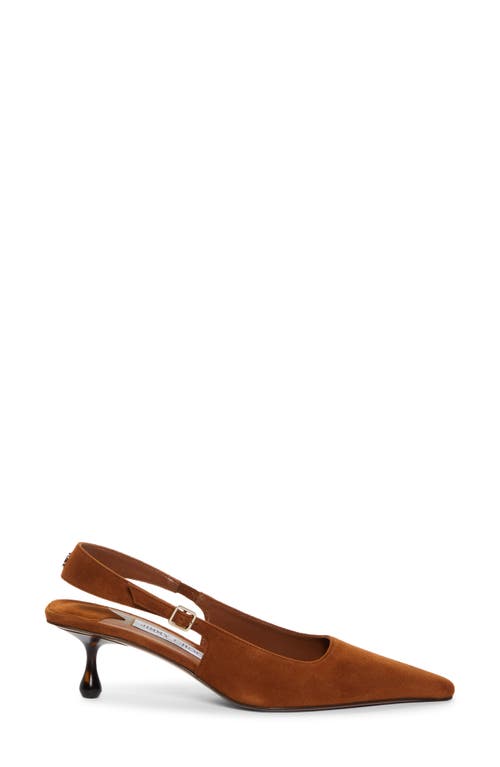 Jimmy Choo Slingback Amel In Tan/tortoise