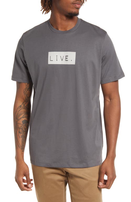 LIVE LIVE Live Pima Cotton Graphic Logo Tee in Grey Skies