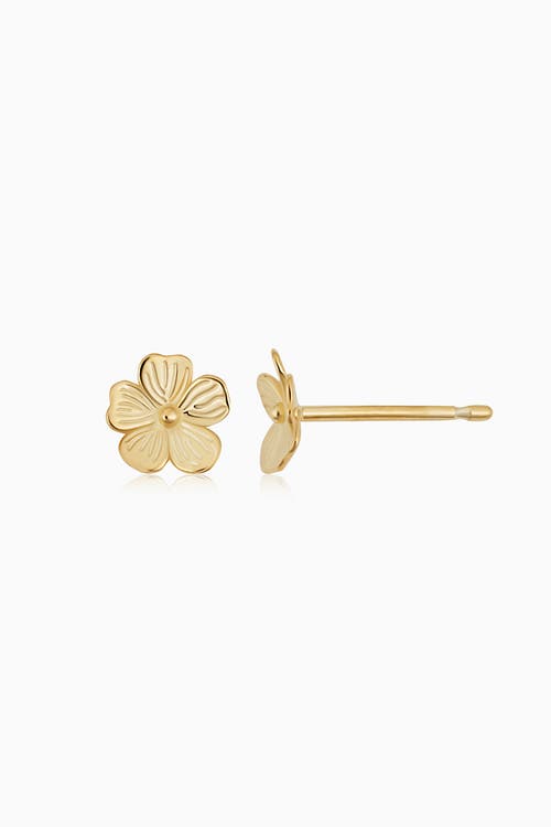 Oradina 14k Yellow Gold Fresh Bouquet Studs In Yellow Gold