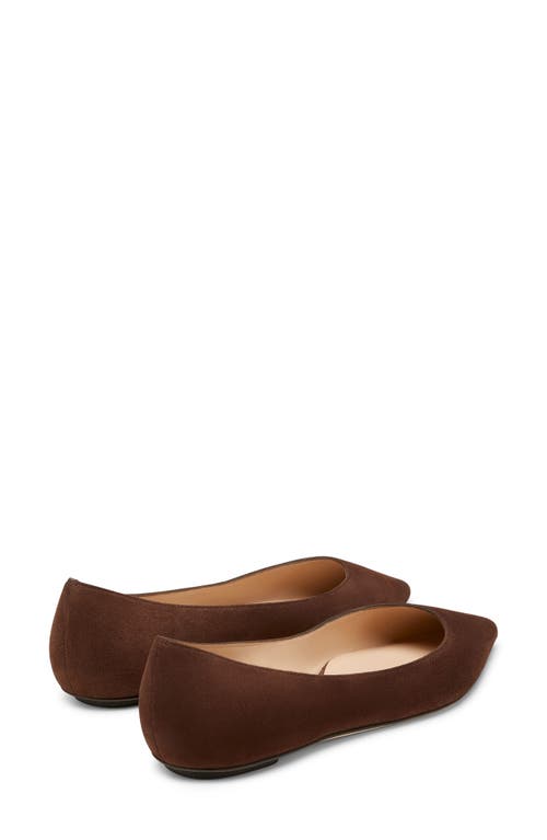 Shop Stuart Weitzman Emilia Pointed Toe Flat In Walnut