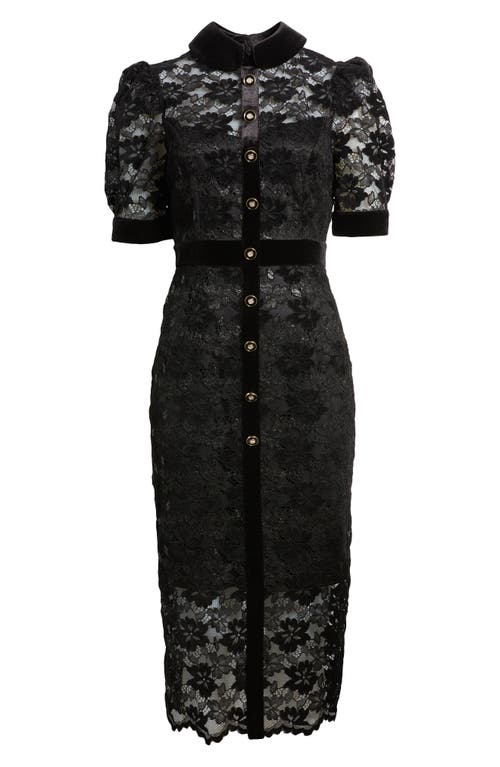 TAHARI ASL TAHARI ASL METALLIC LACE & VELVET MIDI SHIRTDRESS 