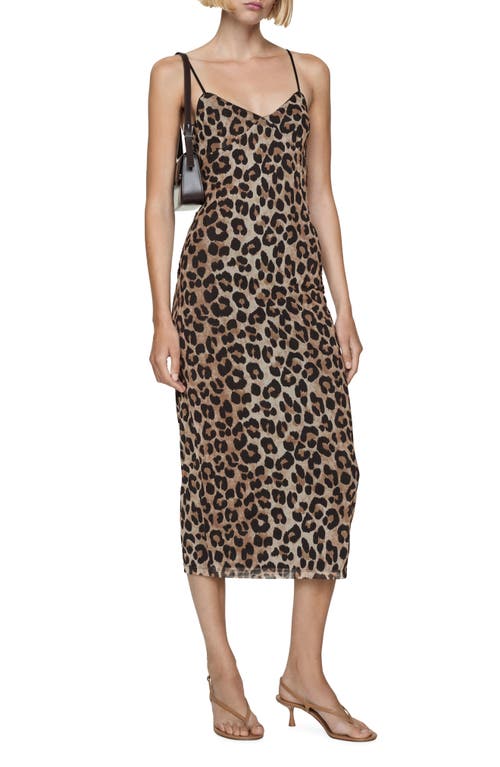 Mango Animal Print Midi Slipdress In Medium Brown