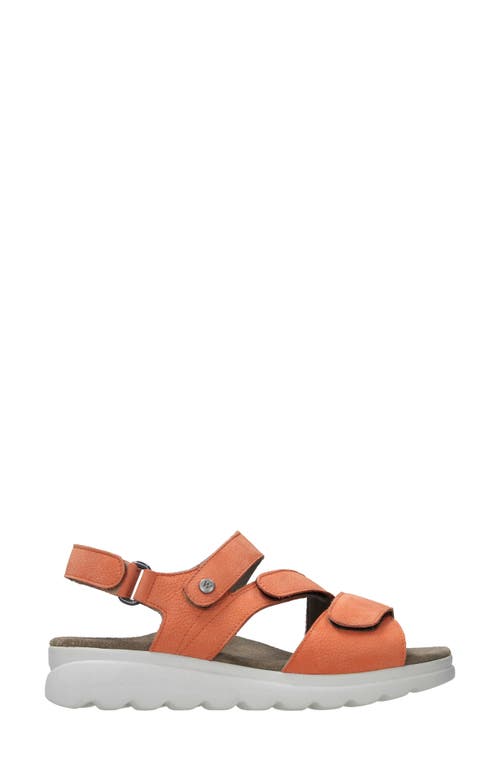 Shop Wolky Yard Slingback Platform Wedge Sandal In Light Orange Nubuck