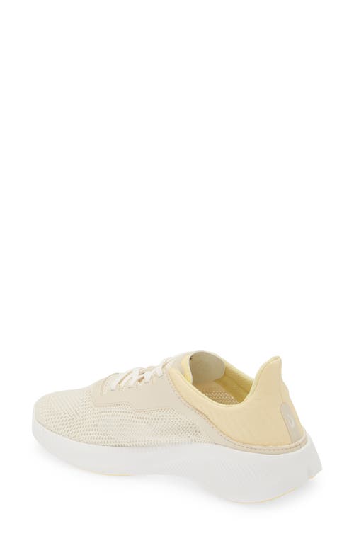 Shop Olukai Island Hopper Sneaker In Puka/honey