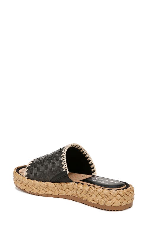 Circus Ny By Sam Edelman Wallis Raffia Platform Slide Sandals In Black