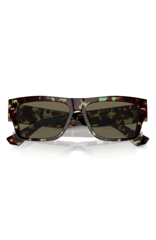 55mm Rectangular Sunglasses in Brown