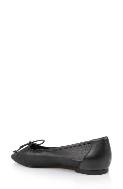 BADGLEY MISCHKA BADGLEY MISCHKA COLLECTION CAM POINTED TOE BALLET FLAT