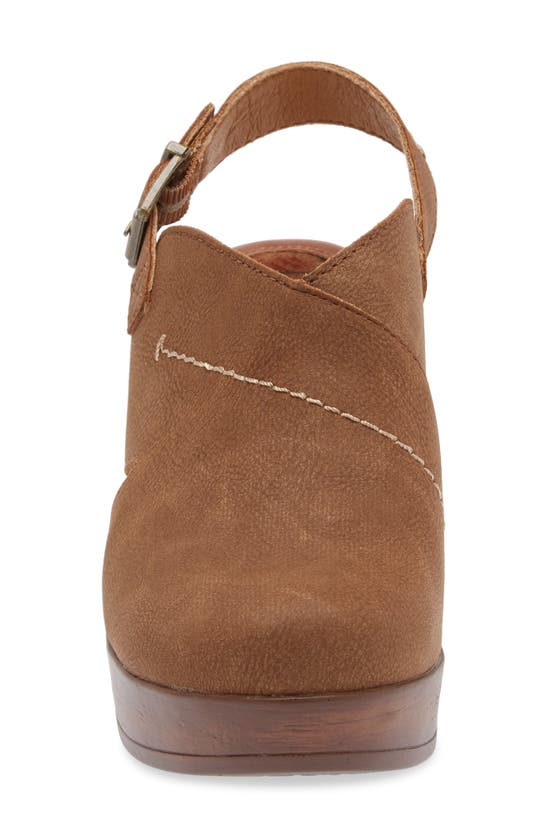 Shop B O C By Børn Cecila Platform Clog In Brown Nubuck