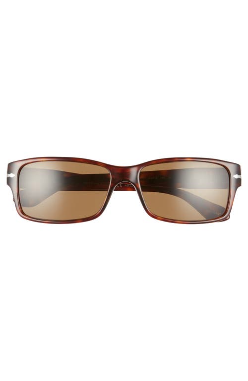 Persol 58mm Polarized Square Sunglasses In Havana/brown Solid