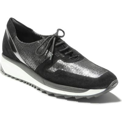 Sesto Meucci Chitty Sneaker, Brown