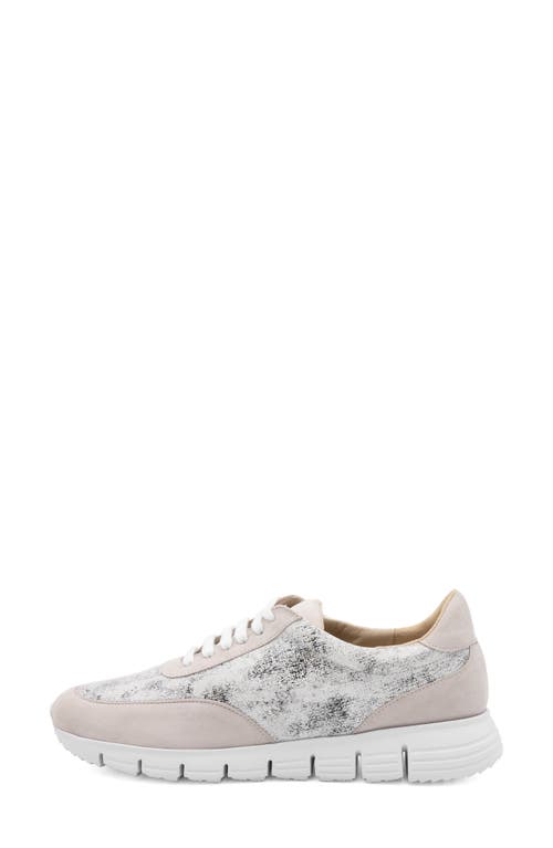 Amalfi By Rangoni Jera Sneaker In Bianca Wash/dust