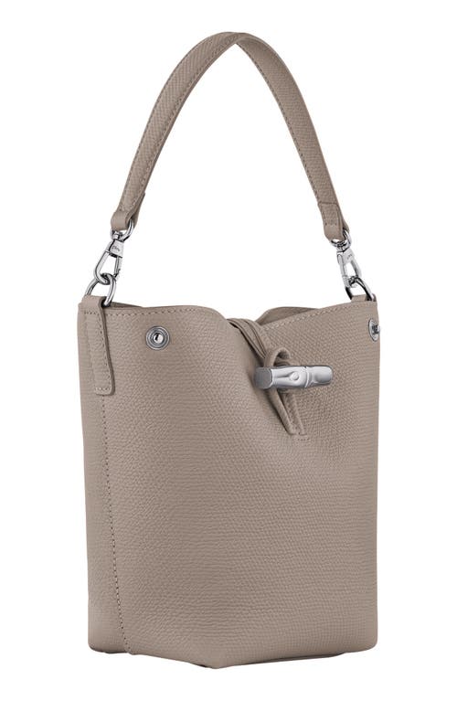 Shop Longchamp Extra Small Le Roseau Leather Bucket Bag In Clay