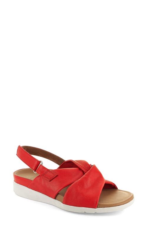 Tahiti II Sandal in Scarlet