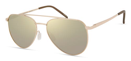Eco Nassau Sunglasses In Gold