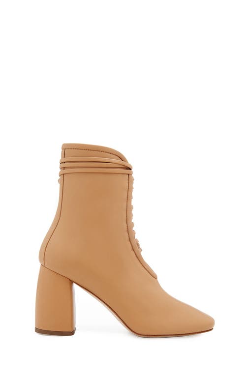 Shop Daniella Shevel Belladonna Boot In Brown