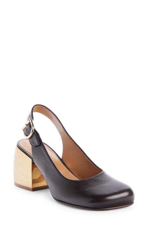 Dries Van Noten Rounded Square Toe Slingback Pump in Black at Nordstrom, Size 8Us