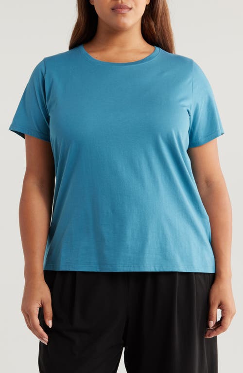 Shop Eileen Fisher Organic Cotton T-shirt In Cascade