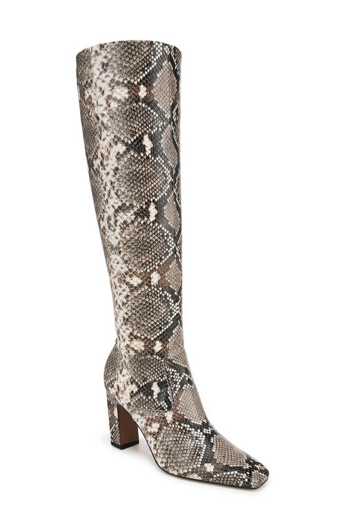 Shop Franco Sarto Bowman Knee High Boot In Grey