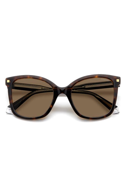 Shop Polaroid 53mm Polarized Square Sunglasses In Havana/bronze Polar