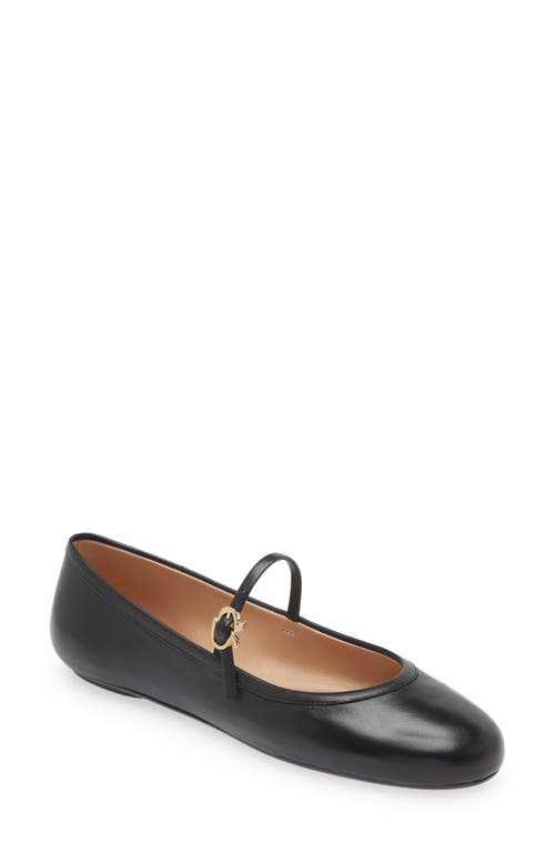 Gianvito Rossi Carla Mary Jane Ballet Flat at Nordstrom,